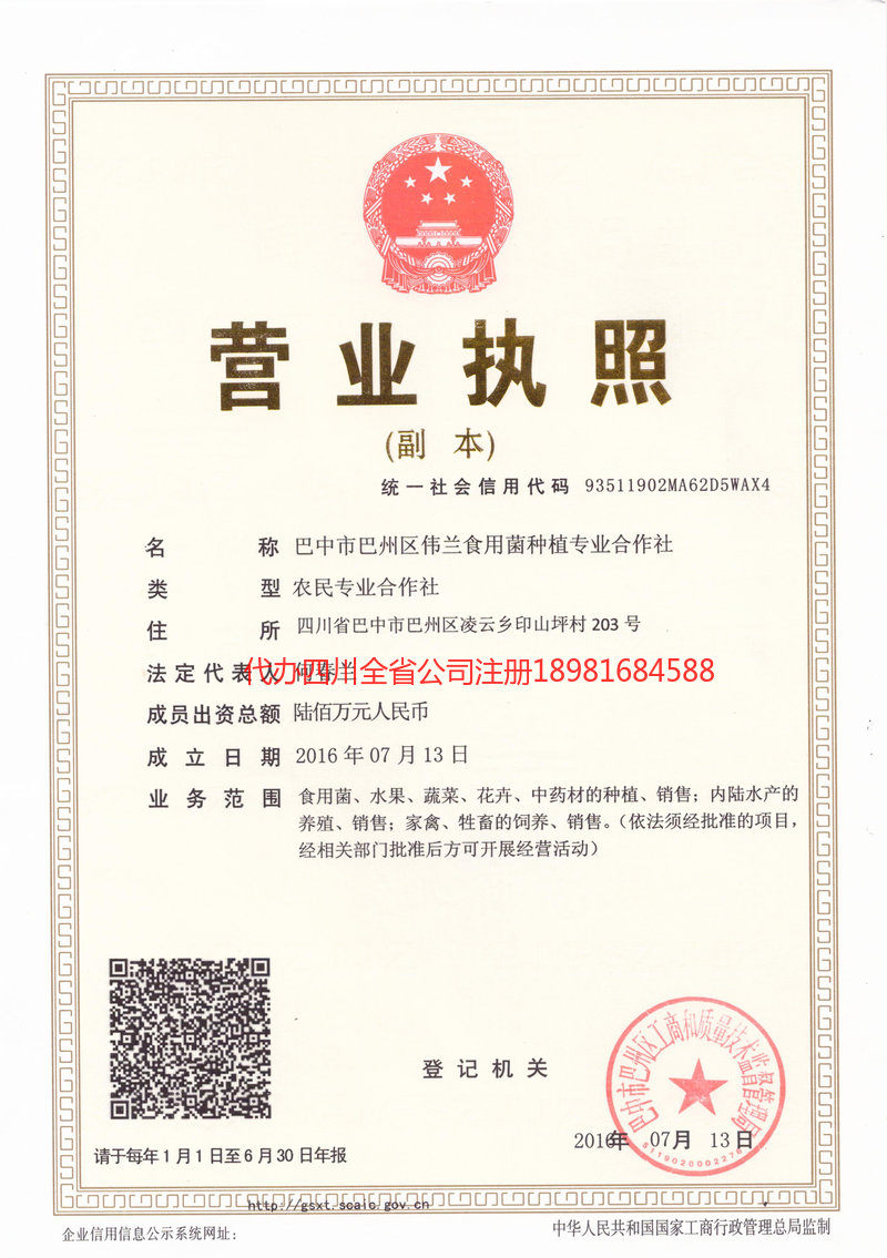 昭通市昭通市伟兰食用菌种植专业合作社